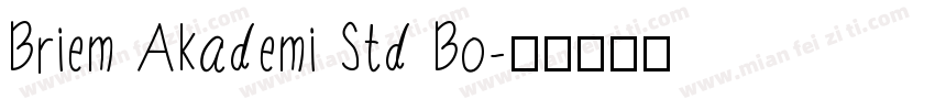 Briem Akademi Std Bo字体转换